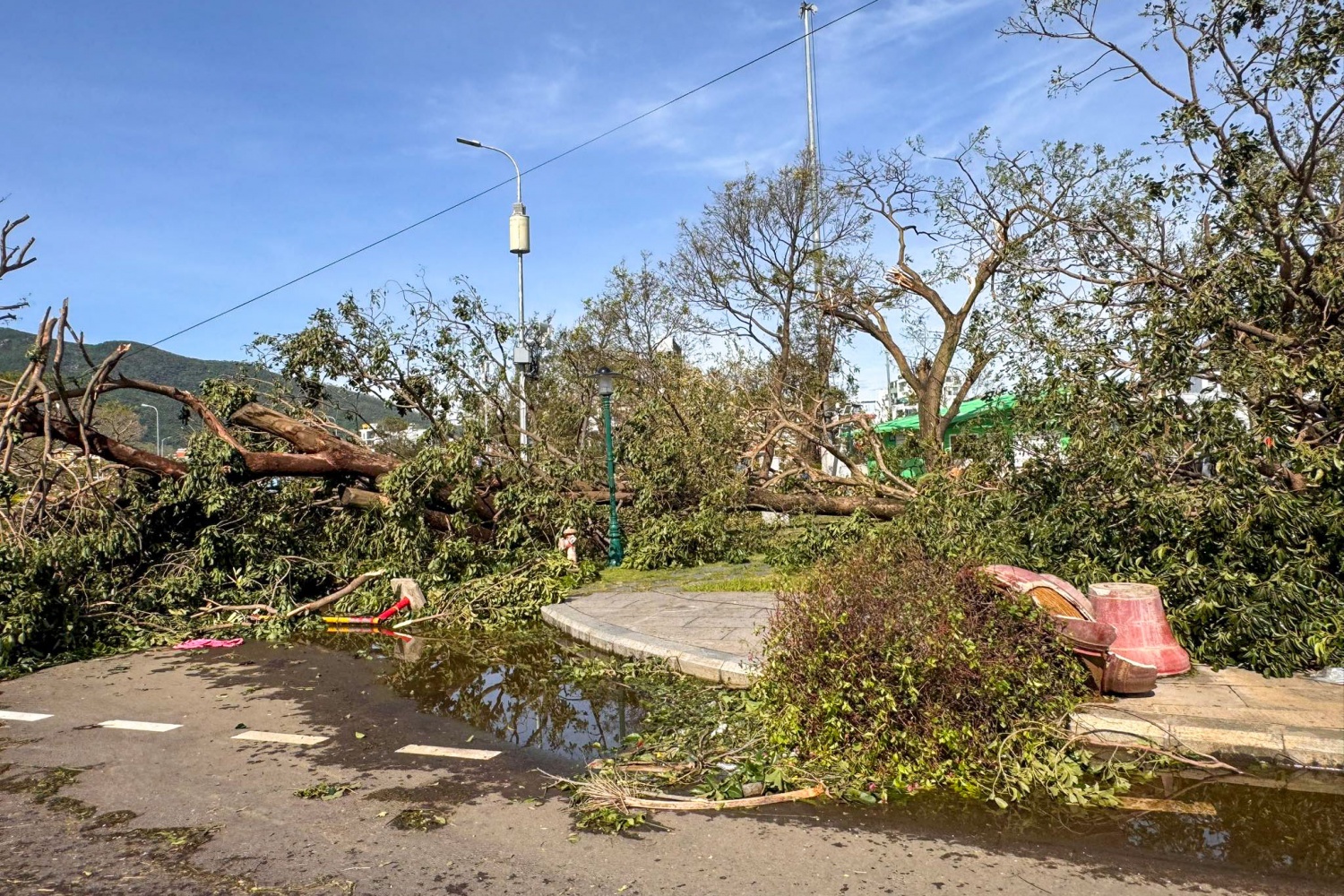 Gia Lai: Cây cối ngã rạp, nhà cửa - hàng quán xác sơ sau bão số 13