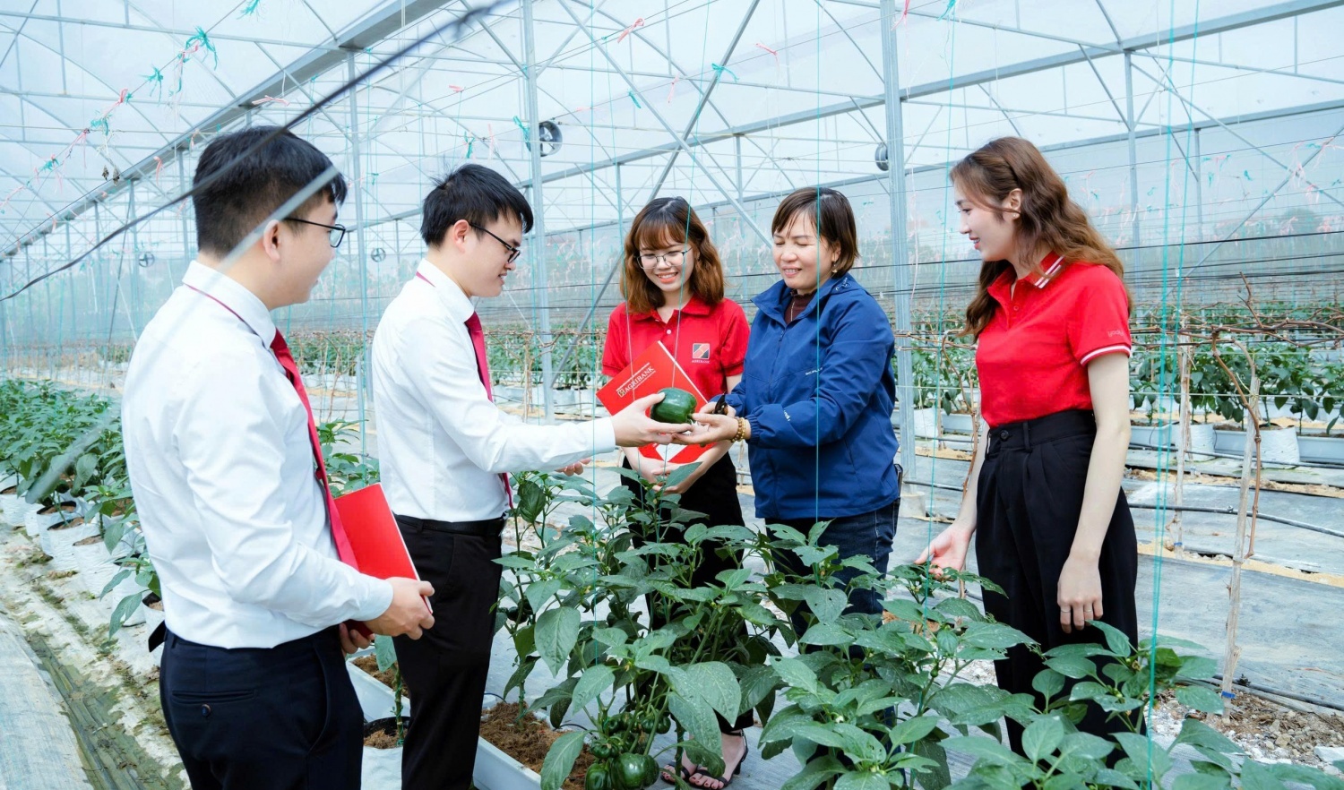 Từ “vốn xanh” đến an sinh cộng đồng