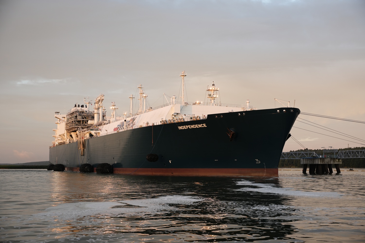 Building an Affordable Pathway to Net Zero: LNG’s Role in Vietnam’s Energy Future Building an Affordable Pathway to Net Zero: LNG’s Role in Vietnam’s Energy Future