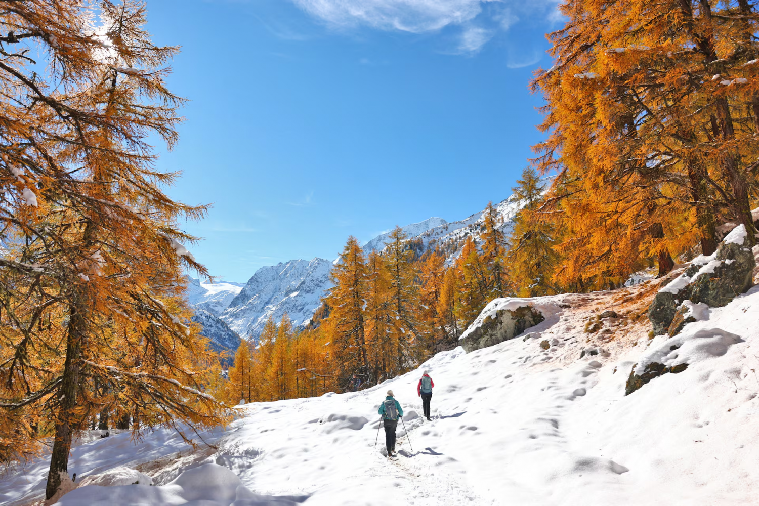 Choáng ngợp trước vẻ đẹp của mùa thu trên toàn thế giới