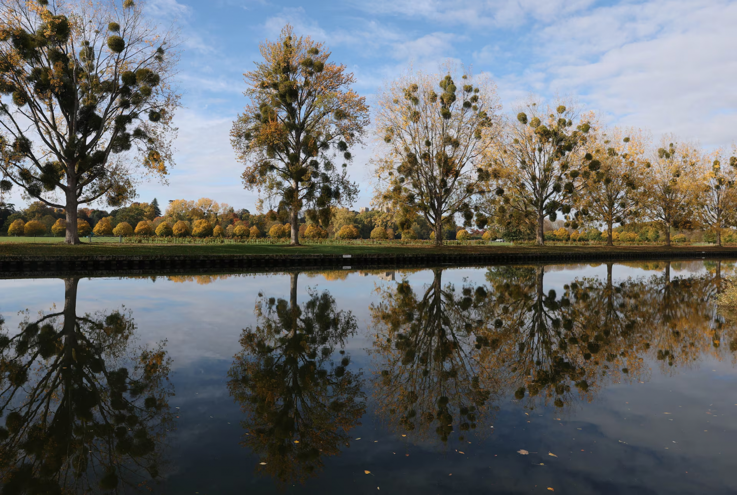 Choáng ngợp trước vẻ đẹp của mùa thu trên toàn thế giới