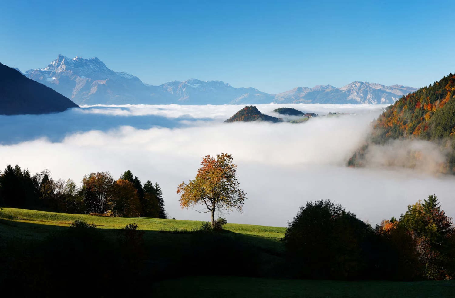 Choáng ngợp trước vẻ đẹp của mùa thu trên toàn thế giới