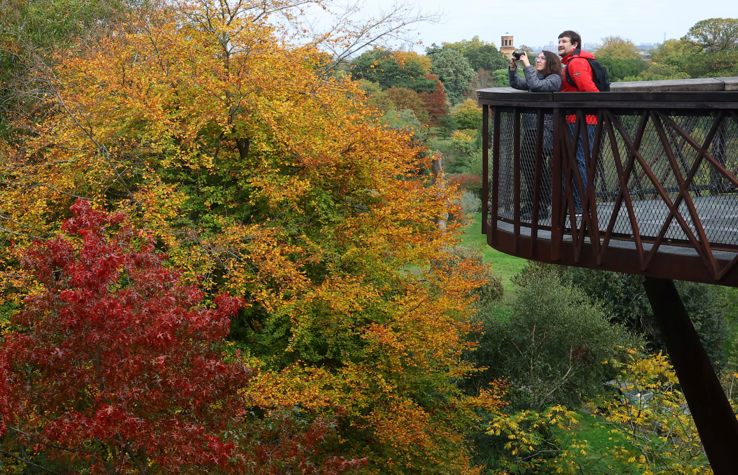 Choáng ngợp trước vẻ đẹp của mùa thu trên toàn thế giới