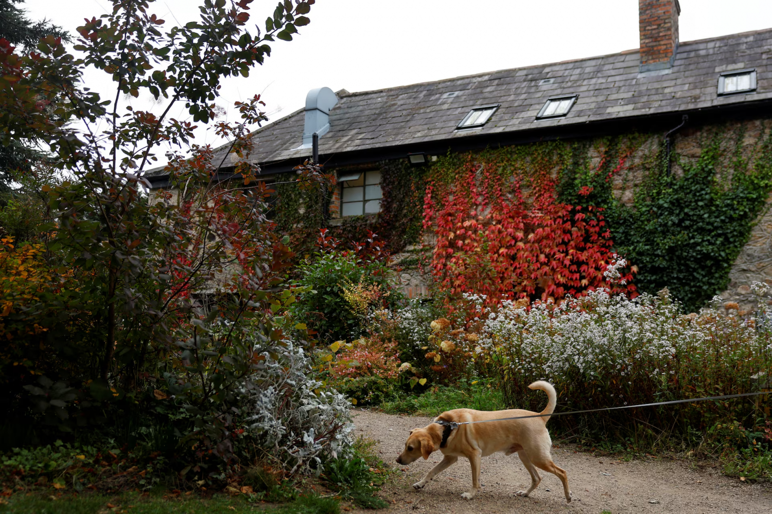 Choáng ngợp trước vẻ đẹp của mùa thu trên toàn thế giới