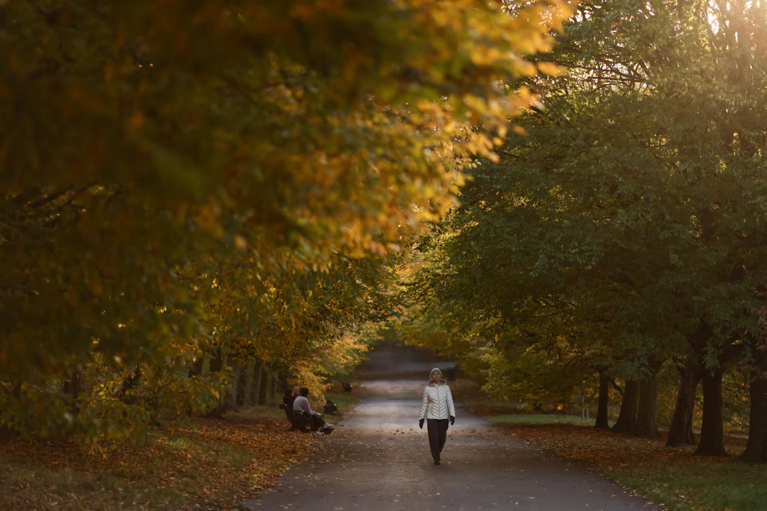 Choáng ngợp trước vẻ đẹp của mùa thu trên toàn thế giới
