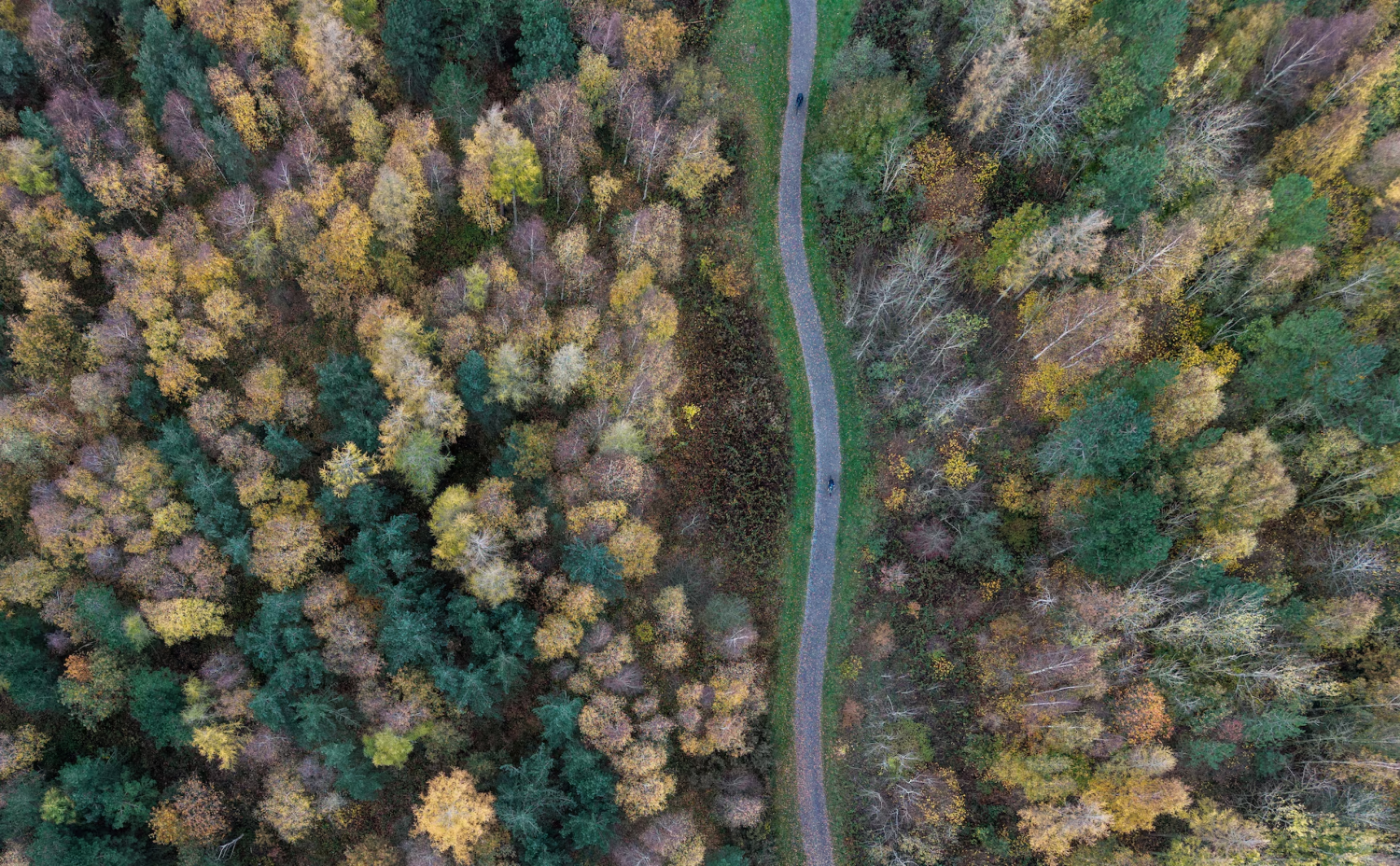 Choáng ngợp trước vẻ đẹp của mùa thu trên toàn thế giới