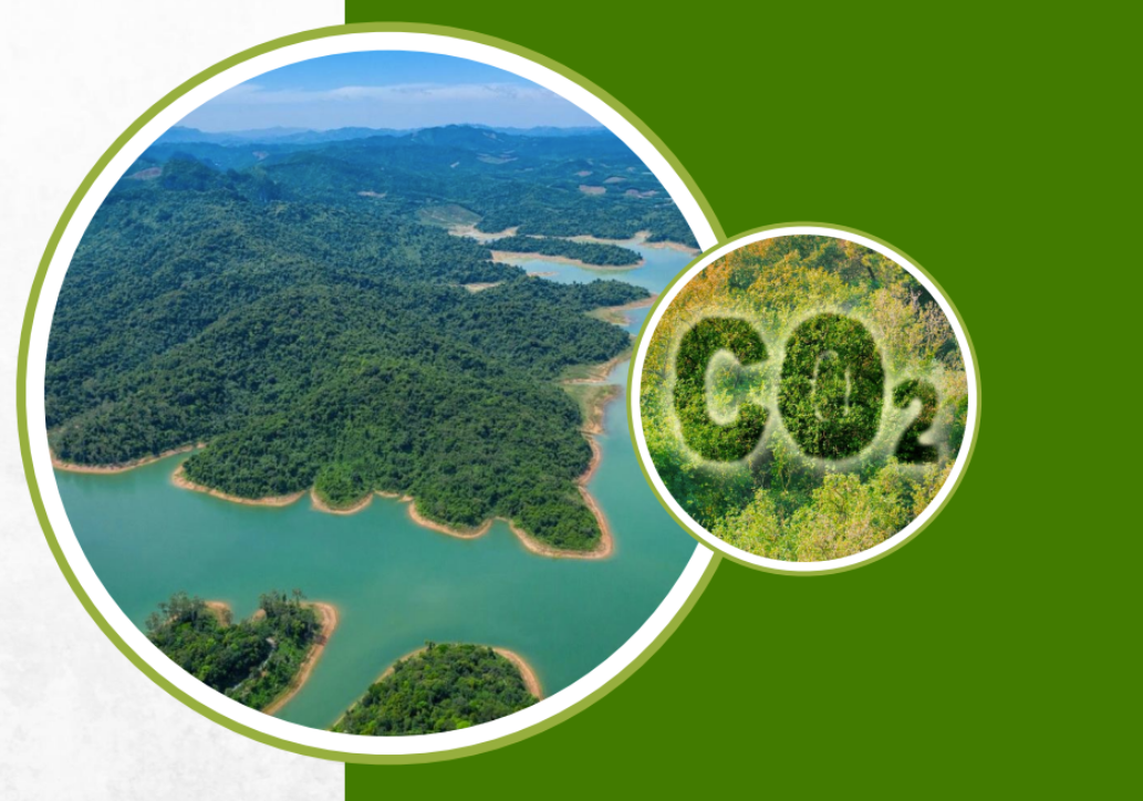 PV Power chuẩn bị bước vào giao dịch lô hàng hóa đầu tiên của thị trường carbon