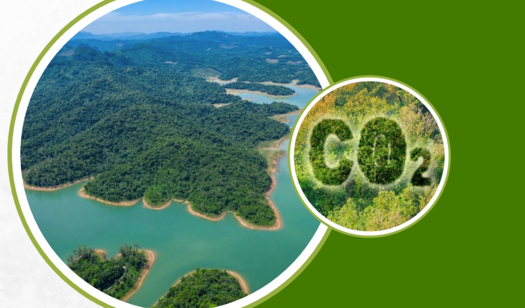 PV Power chuẩn bị bước vào giao dịch lô hàng hóa đầu tiên của thị trường carbon