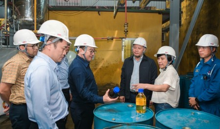 BSR accelerates research progress on biodiesel fuel