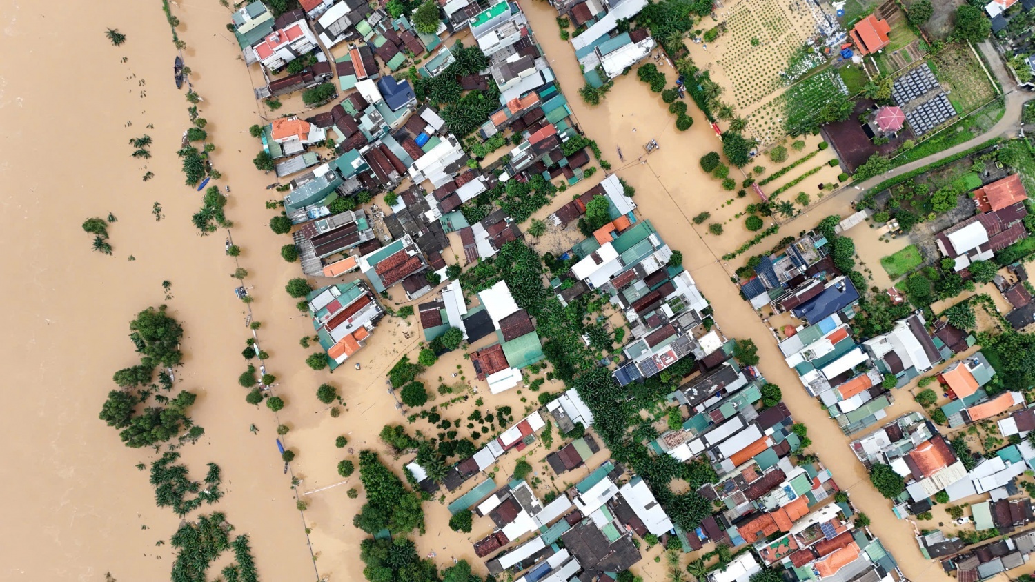 Mưa lũ đã gây ra nhiều thiệt hại nặng nề. Mưa lũ đã gây ra nhiều thiệt hại nặng nề.