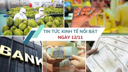 Tin tức kinh tế ngày 12/11: Trung Quốc tiếp tục tăng nhập rau quả Việt Nam