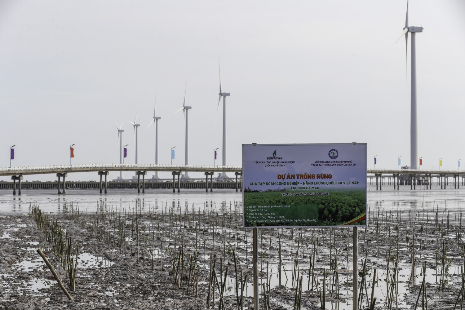 “Triệu bước chân – Ươm mầm bền vững”: Petrovietnam trồng 4.000 cây rừng ngập mặn tại Cà Mau “Triệu bước chân – Ươm mầm bền vững”: Petrovietnam trồng 4.000 cây rừng ngập mặn tại Cà Mau