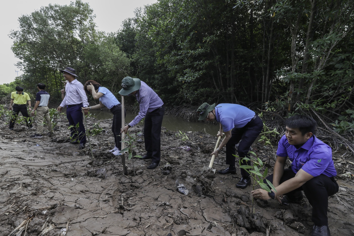 “Triệu bước chân – Ươm mầm bền vững”: Petrovietnam trồng 4.000 cây rừng ngập mặn tại Cà Mau “Triệu bước chân – Ươm mầm bền vững”: Petrovietnam trồng 4.000 cây rừng ngập mặn tại Cà Mau