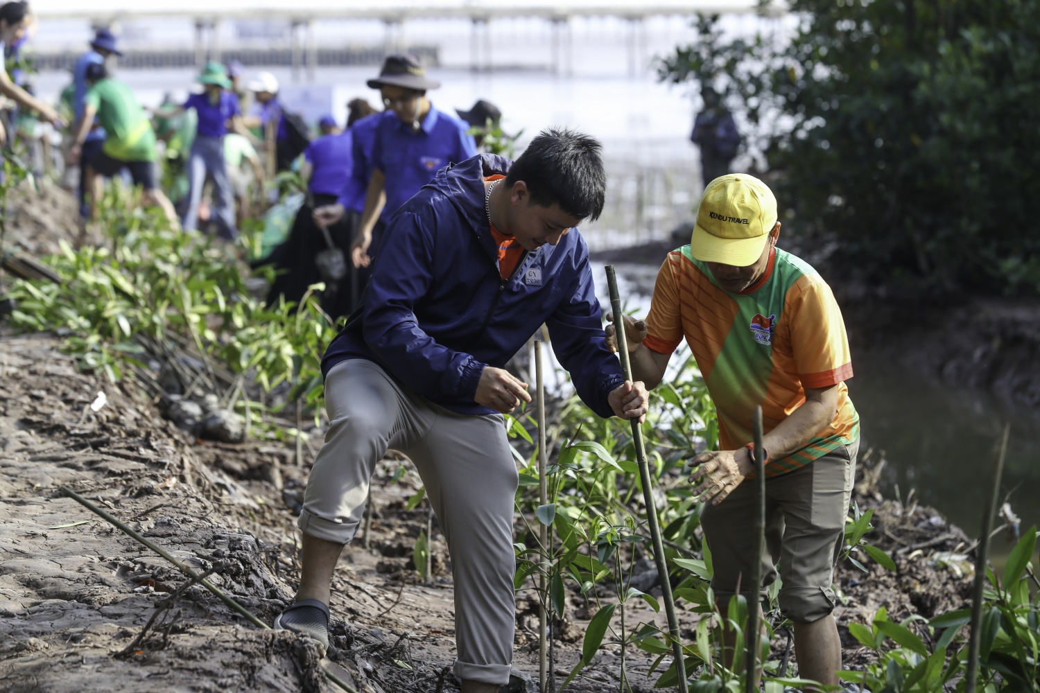 “Triệu bước chân – Ươm mầm bền vững”: Petrovietnam trồng 4.000 cây rừng ngập mặn tại Cà Mau “Triệu bước chân – Ươm mầm bền vững”: Petrovietnam trồng 4.000 cây rừng ngập mặn tại Cà Mau