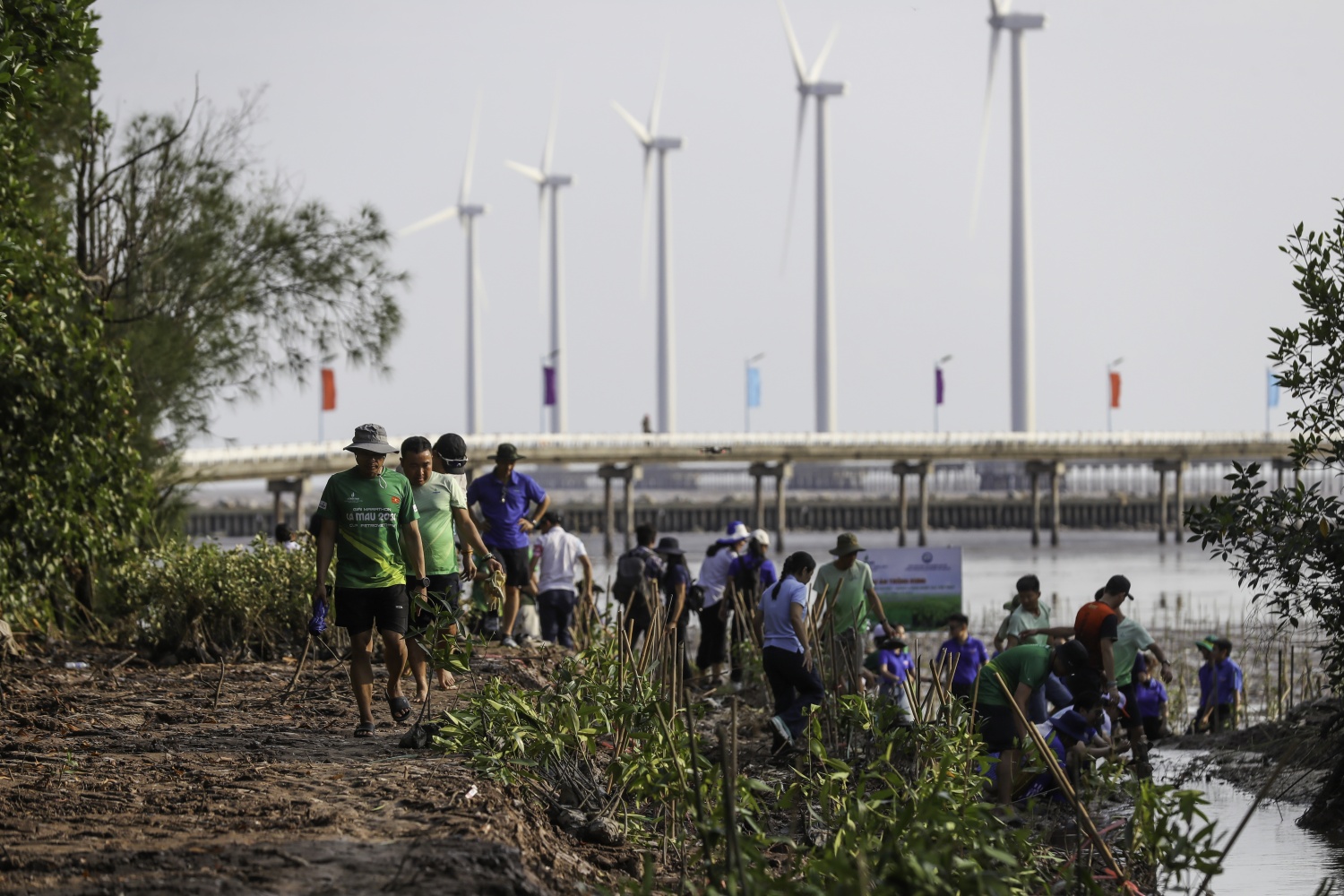 “Triệu bước chân – Ươm mầm bền vững”: Petrovietnam trồng 4.000 cây rừng ngập mặn tại Cà Mau “Triệu bước chân – Ươm mầm bền vững”: Petrovietnam trồng 4.000 cây rừng ngập mặn tại Cà Mau