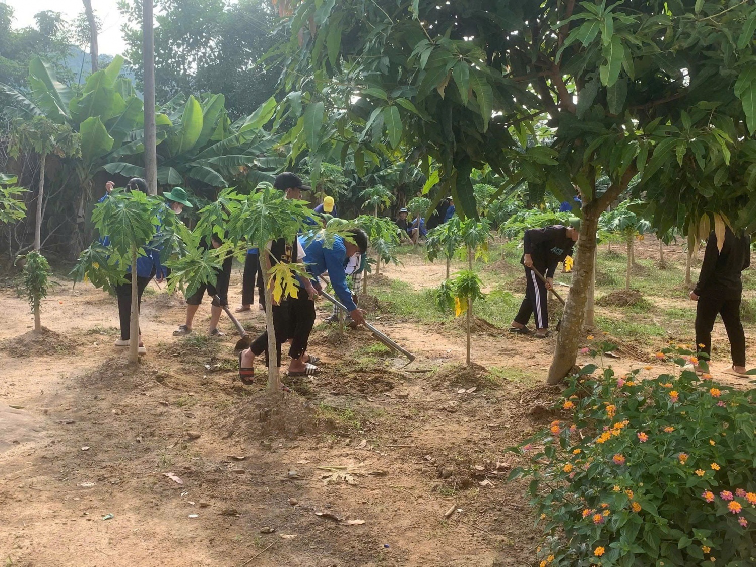 Petrovietnam đầu tư phòng STEM cho Điện Biên: Cơ hội thu hẹp khoảng cách giáo dục vùng cao Petrovietnam đầu tư phòng STEM cho Điện Biên: Cơ hội thu hẹp khoảng cách giáo dục vùng cao