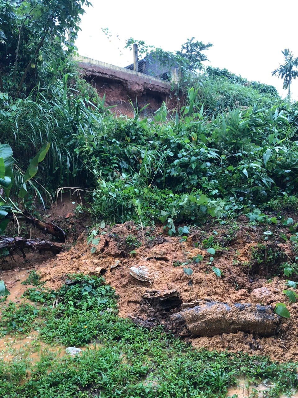 Quảng Ngãi: Di dời khẩn cấp 400 học sinh do sạt lở