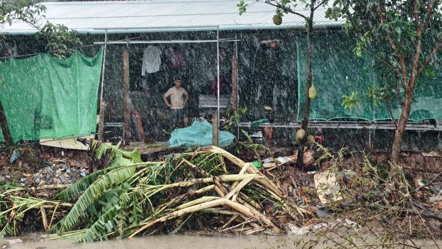 Mưa lũ lịch sử ở miền Trung: 85 người chết và mất tích, nhiều nơi vẫn ngập sâu Mưa lũ lịch sử ở miền Trung: 85 người chết và mất tích, nhiều nơi vẫn ngập sâu