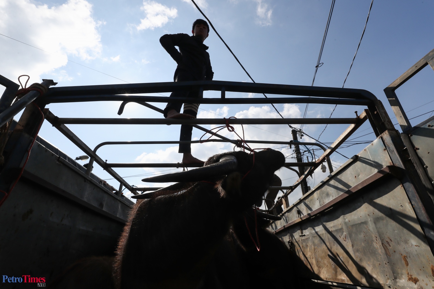 Phiên chợ trâu Bắc Hà: Sàn giao dịch trăm năm trên cao nguyên Phiên chợ trâu Bắc Hà: Sàn giao dịch trăm năm trên cao nguyên