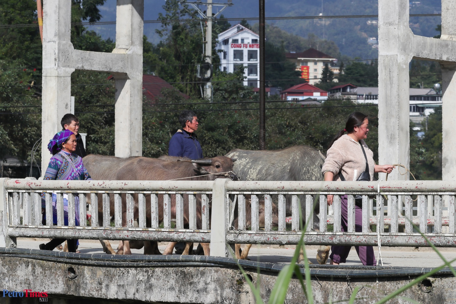 Phiên chợ trâu Bắc Hà: Sàn giao dịch trăm năm trên cao nguyên Phiên chợ trâu Bắc Hà: Sàn giao dịch trăm năm trên cao nguyên