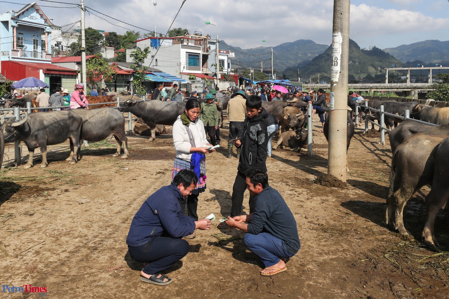 Phiên chợ trâu Bắc Hà: Sàn giao dịch trăm năm trên cao nguyên Phiên chợ trâu Bắc Hà: Sàn giao dịch trăm năm trên cao nguyên