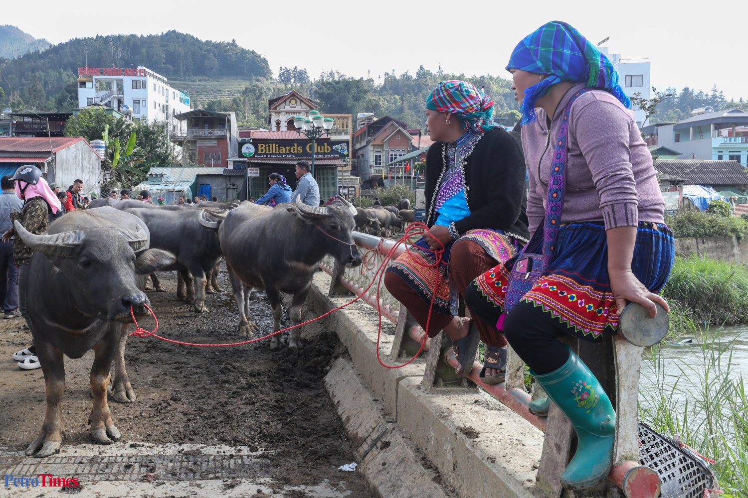 Phiên chợ trâu Bắc Hà: Sàn giao dịch trăm năm trên cao nguyên Phiên chợ trâu Bắc Hà: Sàn giao dịch trăm năm trên cao nguyên