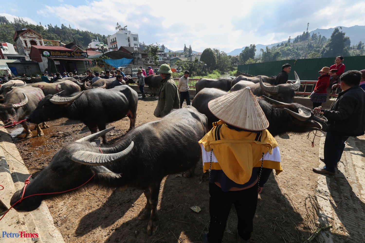 Phiên chợ trâu Bắc Hà: Sàn giao dịch trăm năm trên cao nguyên Phiên chợ trâu Bắc Hà: Sàn giao dịch trăm năm trên cao nguyên