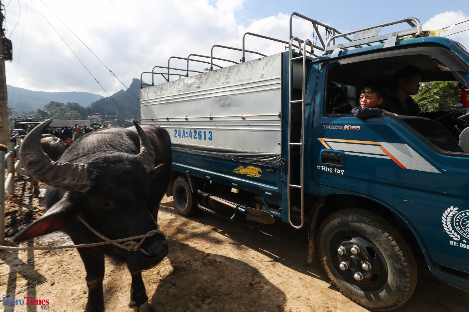 Phiên chợ trâu Bắc Hà: Sàn giao dịch trăm năm trên cao nguyên Phiên chợ trâu Bắc Hà: Sàn giao dịch trăm năm trên cao nguyên