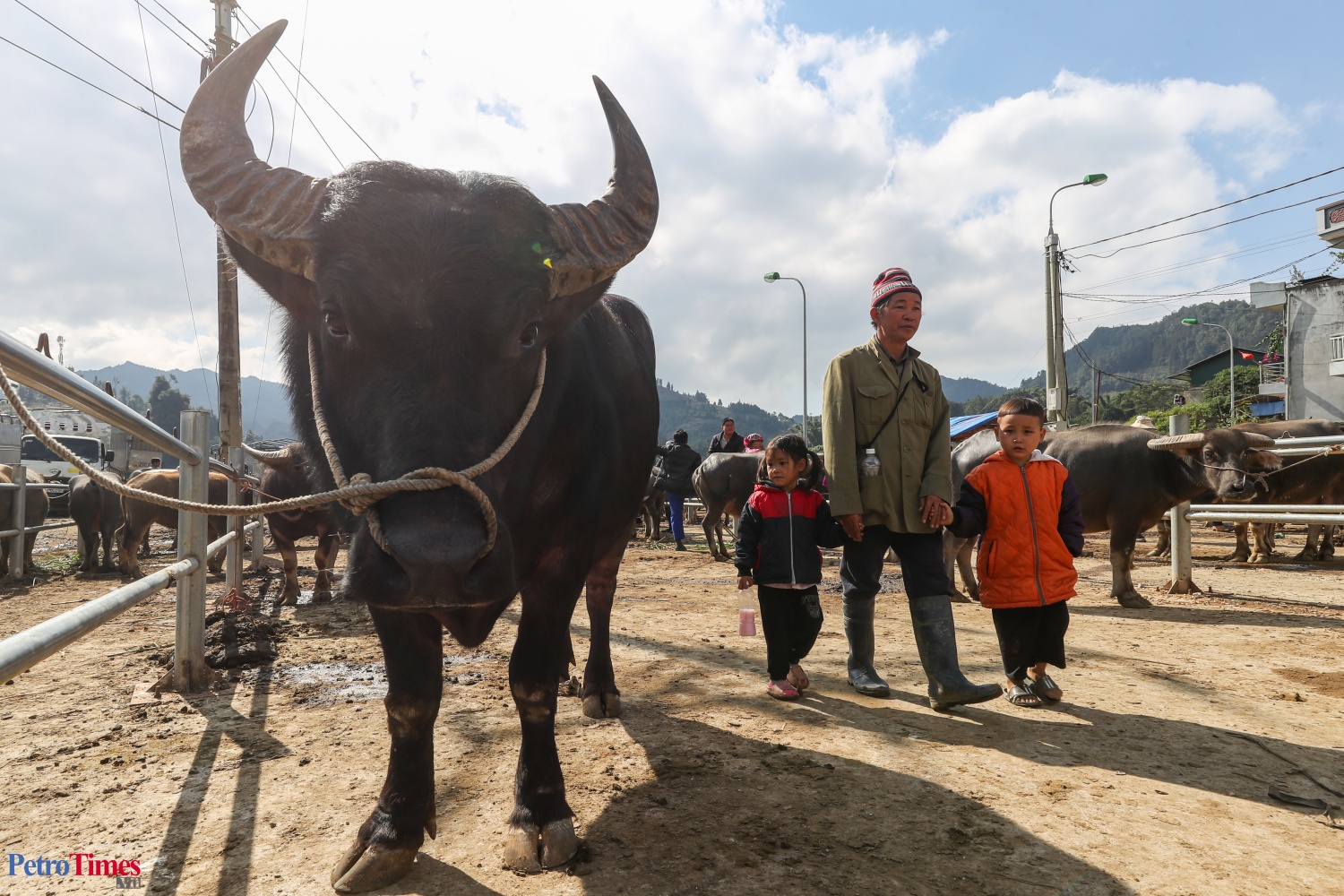 Phiên chợ trâu Bắc Hà: Sàn giao dịch trăm năm trên cao nguyên Phiên chợ trâu Bắc Hà: Sàn giao dịch trăm năm trên cao nguyên