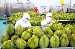 Đề xuất khôi phục ưu đãi thuế GTGT cho nông sản ở khâu thương mại