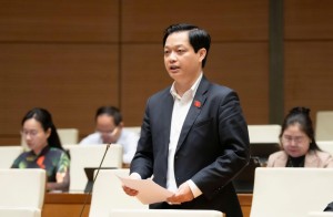 Đại biểu Quốc hội: Cần hoàn thiện pháp lý, cơ chế và hạ tầng để bứt phá điện gió ngoài khơi