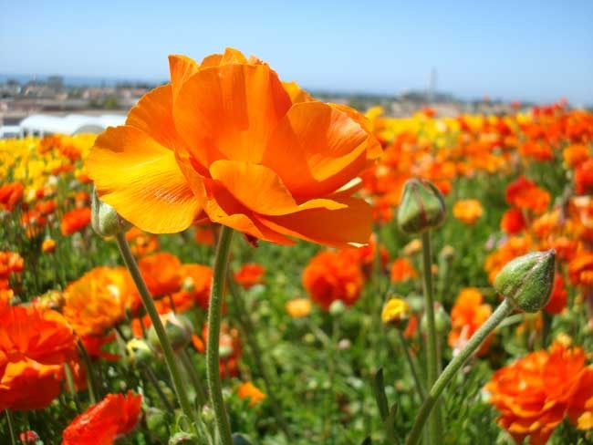 Tử vi tuần mới (8-14/12/2025): Tuổi Tý vị thế nâng cao, tuổi Hợi tài lộc dồi dào Tử vi tuần mới (8-14/12/2025): Tuổi Tý vị thế nâng cao, tuổi Hợi tài lộc dồi dào