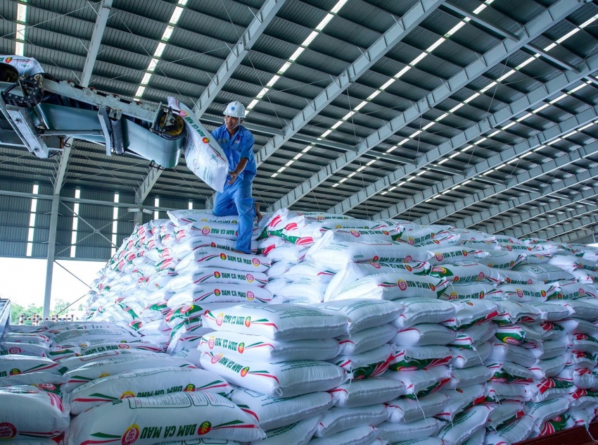 Loạt sáng chế giúp Đạm Cà Mau tiết kiệm hơn 1.500 tỷ đồng, giảm mạnh phát thải CO₂ Loạt sáng chế giúp Đạm Cà Mau tiết kiệm hơn 1.500 tỷ đồng, giảm mạnh phát thải CO₂