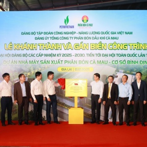 Khánh thành và gắn biển công trình Nhà máy Sản xuất Phân bón Cà Mau – Cơ sở Bình Định