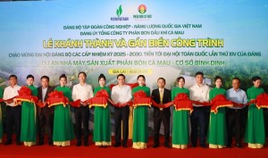 [VIDEO] Khánh thành và gắn biển công trình Nhà máy Sản xuất Phân bón Cà Mau – Cơ sở Bình Định