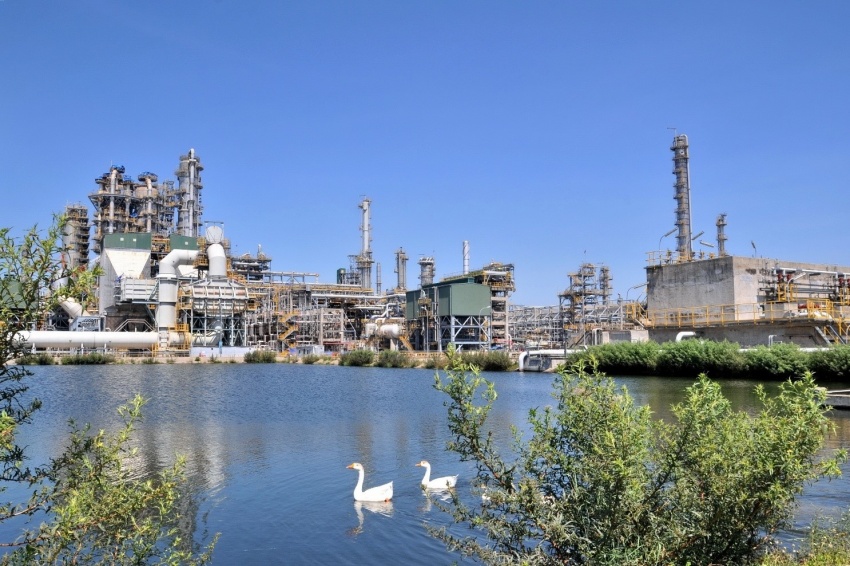 BSR proactively navigates the “storm” of 2026