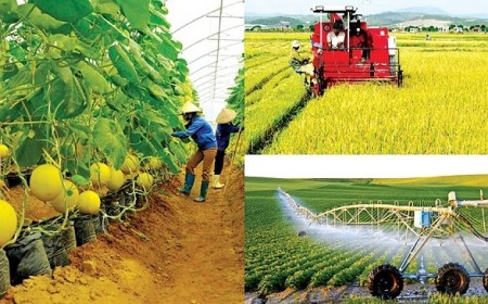 ADB và BIDV hỗ trợ nông nghiệp bền vững và trao quyền cho phụ nữ ở Việt Nam