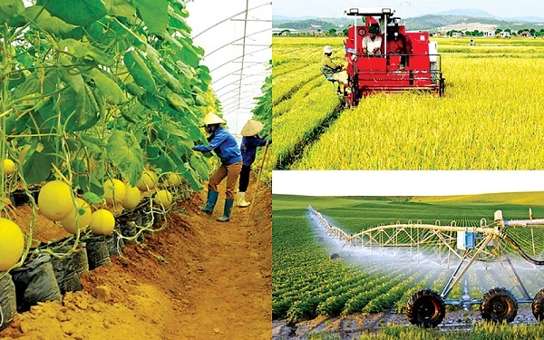 ADB và BIDV hỗ trợ nông nghiệp bền vững và trao quyền cho phụ nữ ở Việt Nam ADB và BIDV hỗ trợ nông nghiệp bền vững và trao quyền cho phụ nữ ở Việt Nam