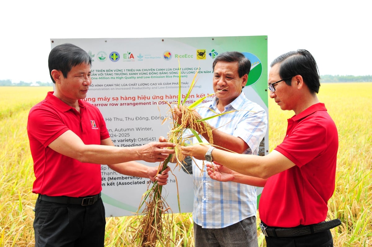 Bài 1: Những thửa ruộng biết thở ra... vàng