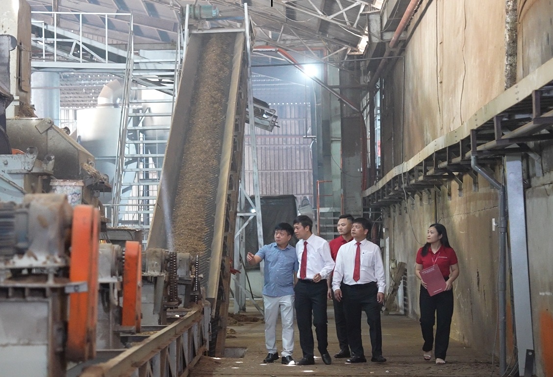 Bài 2: Cầu nối chiến lược đưa tín chỉ carbon vươn ra thị trường quốc tế