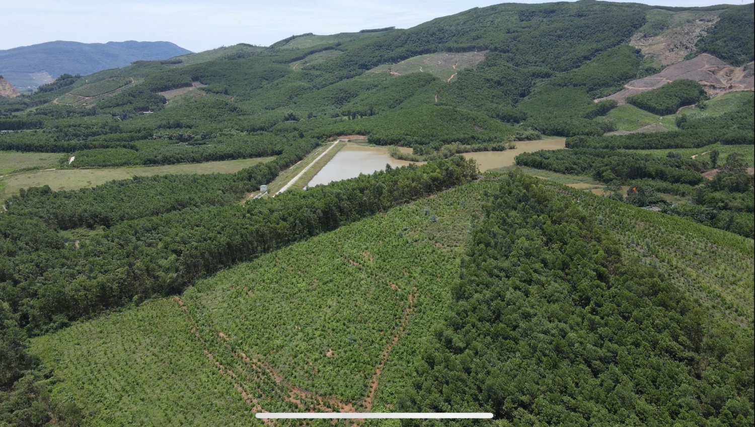 Bài 2: Cầu nối chiến lược đưa tín chỉ carbon vươn ra thị trường quốc tế