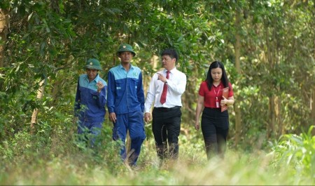 Bài 2: Cầu nối chiến lược đưa tín chỉ carbon vươn ra thị trường quốc tế