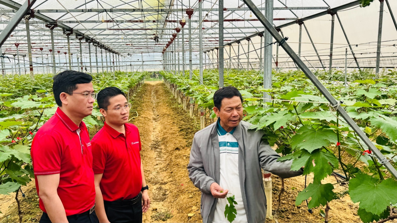 Bài 4: Đưa carbon trở thành tài sản