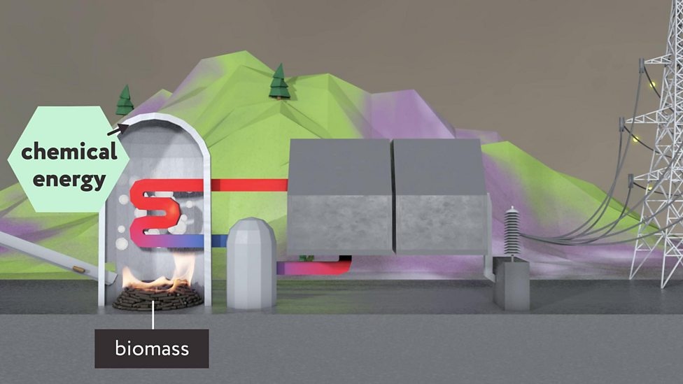 Biến thức ăn thừa thành năng lượng: Lời giải cho bài toán tồn tại hơn một thập kỷ