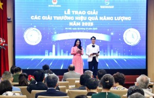 Tôn vinh các điển hình tiên phong sử dụng năng lượng hiệu quả