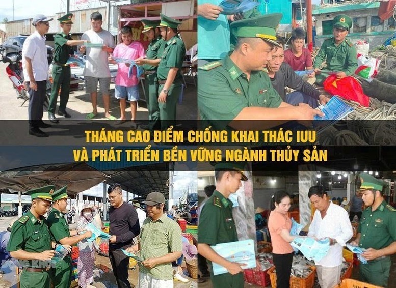 Cà Mau tạo chuyển biến toàn diện trong chống khai thác IUU