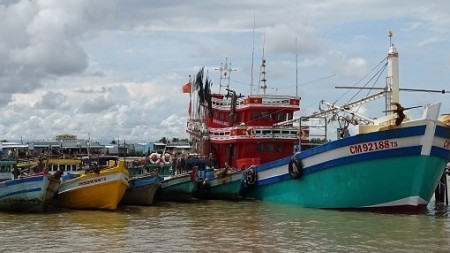 Cà Mau tạo chuyển biến toàn diện trong chống khai thác IUU