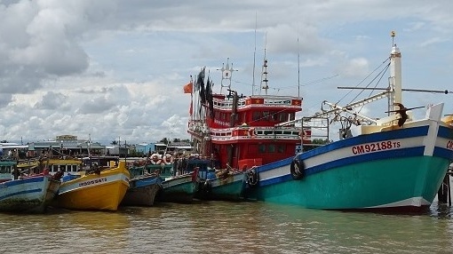 Cà Mau tạo chuyển biến toàn diện trong chống khai thác IUU