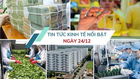 Tin tức kinh tế ngày 24/12: Ngành Thuế thu ngân sách cán mốc kỷ lục 2 triệu tỷ đồng