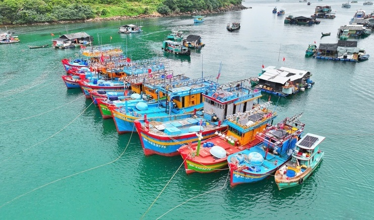 An Giang chuẩn hóa quản lý nghề cá, đáp ứng yêu cầu chống IUU của EC